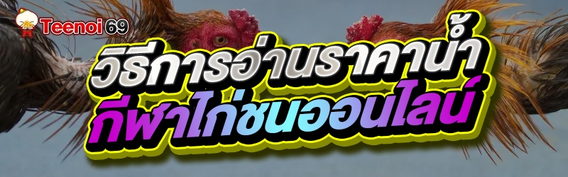 วิธีการอ่านราคาน้ำกีฬาไก่ชนออนไลน์