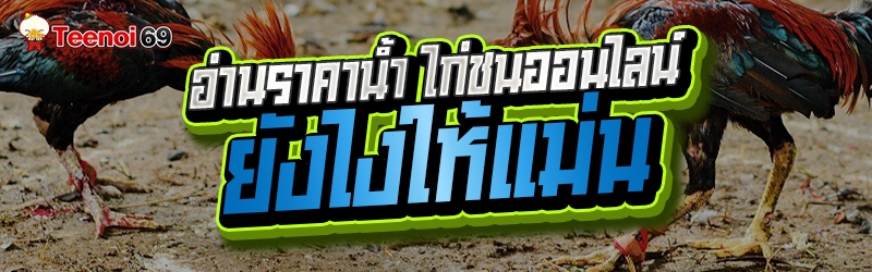 ไก่ชนออนไลน์