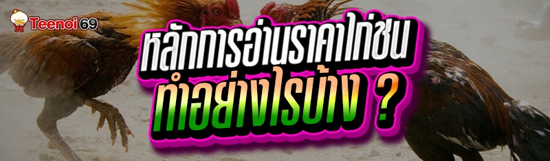 หลักการอ่านราคาไก่ชน