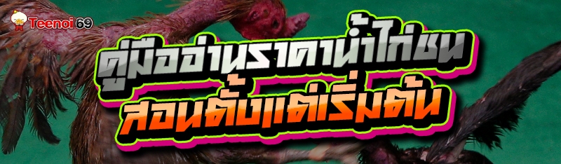 คู่มืออ่านราคาน้ำไก่ชน
